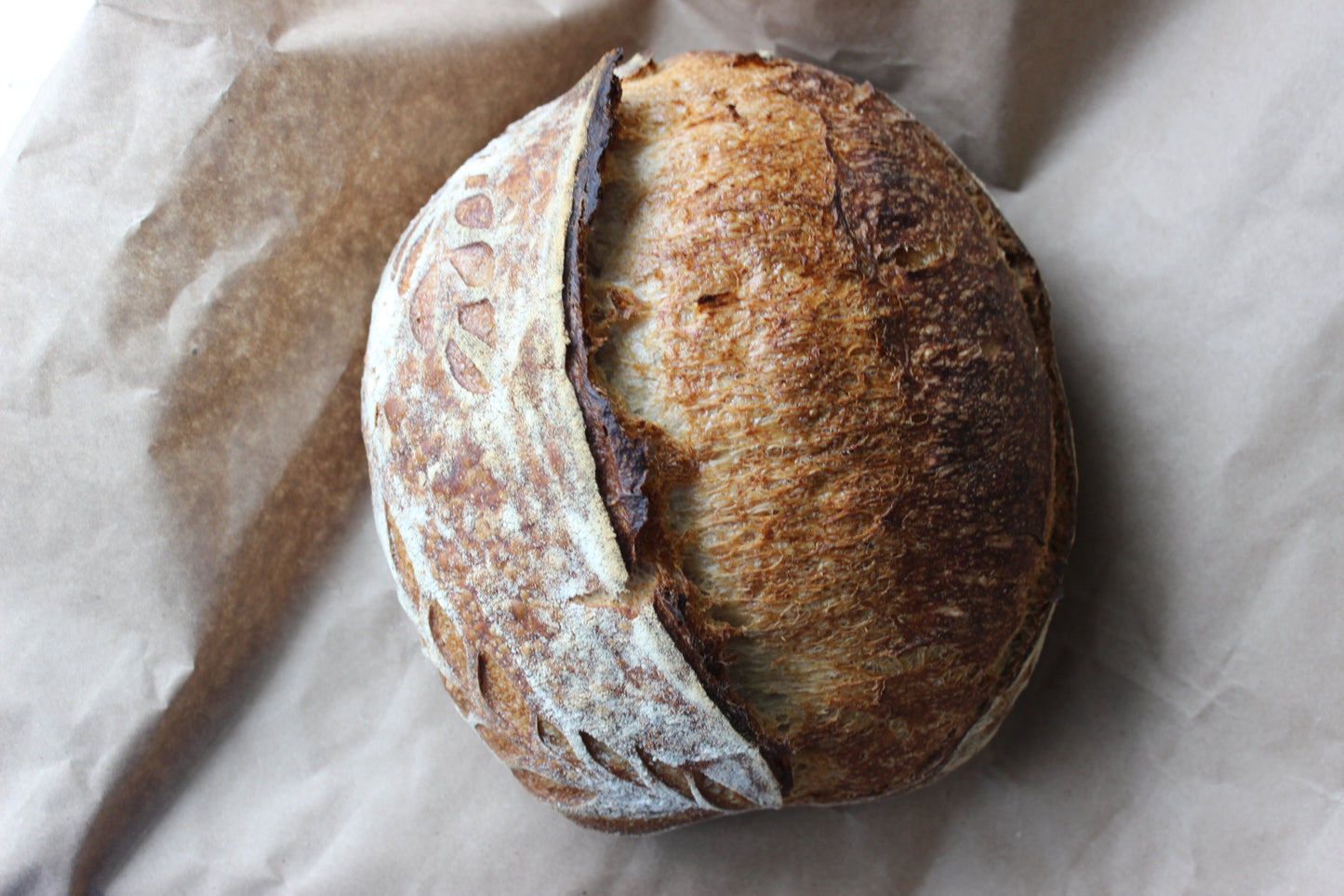 SAN FRANCISCO SOURDOUGH