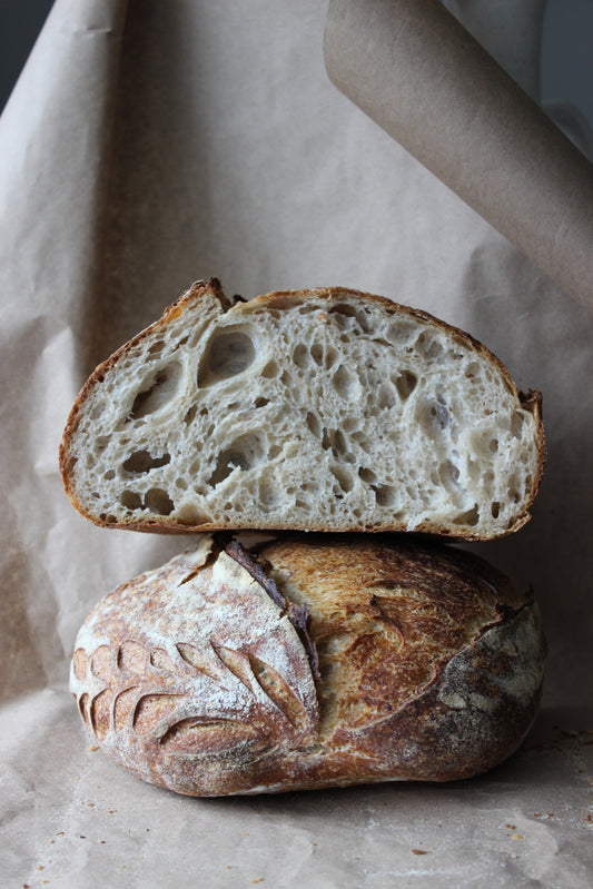 SAN FRANCISCO SOURDOUGH